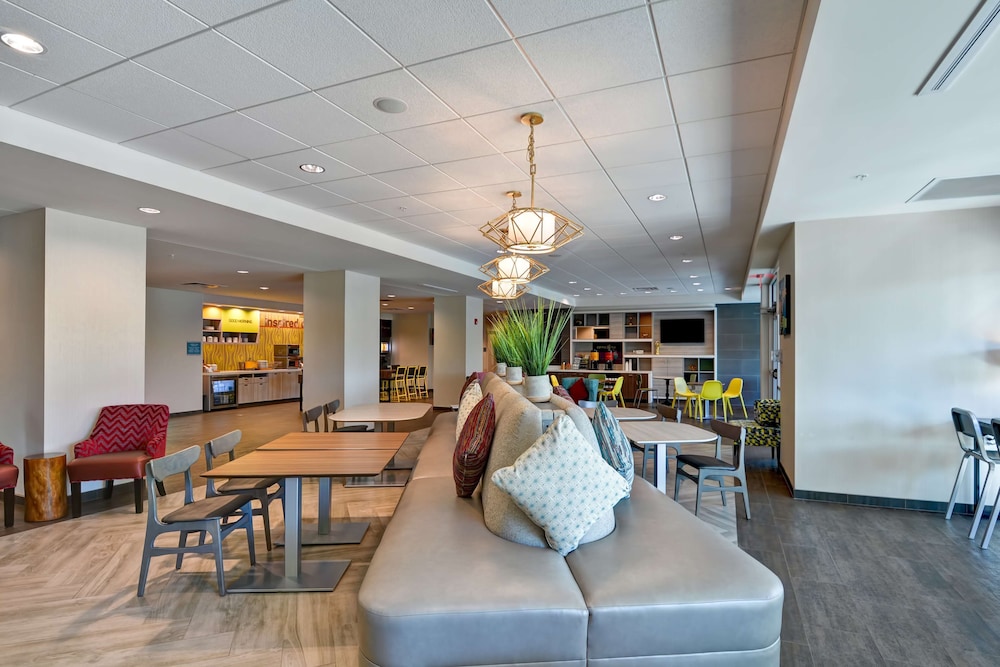 Home2 Suites by Hilton Tampa USF Near Busch Gardens - photo 6
