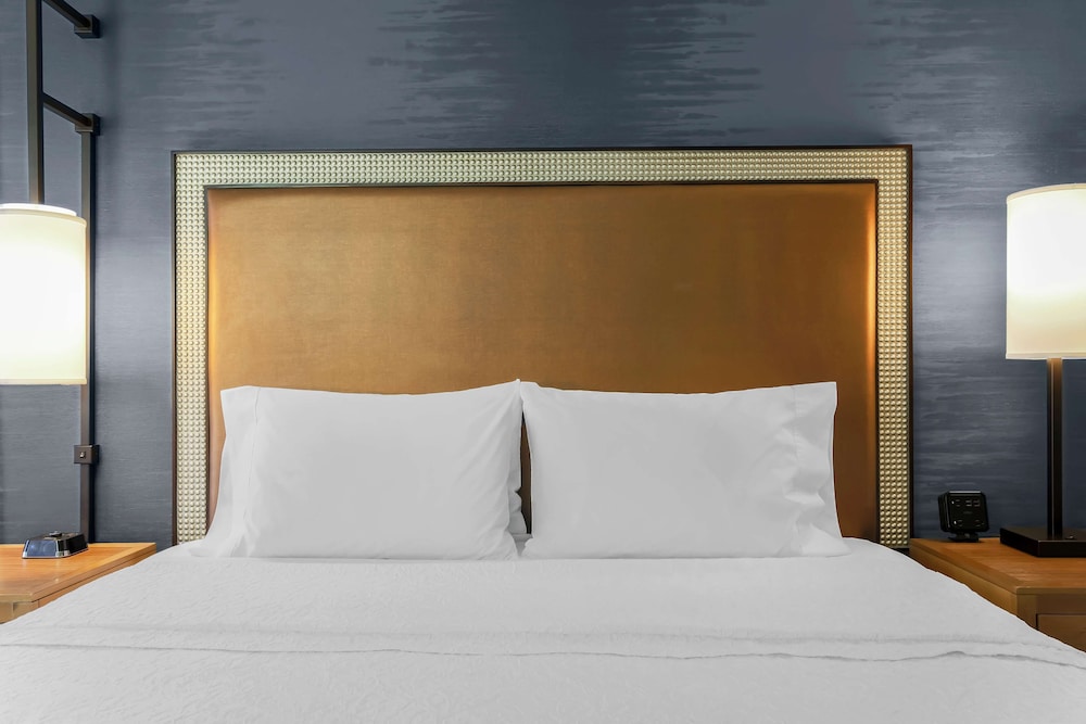 Hampton Inn & Suites Austin Downtown - photo 10