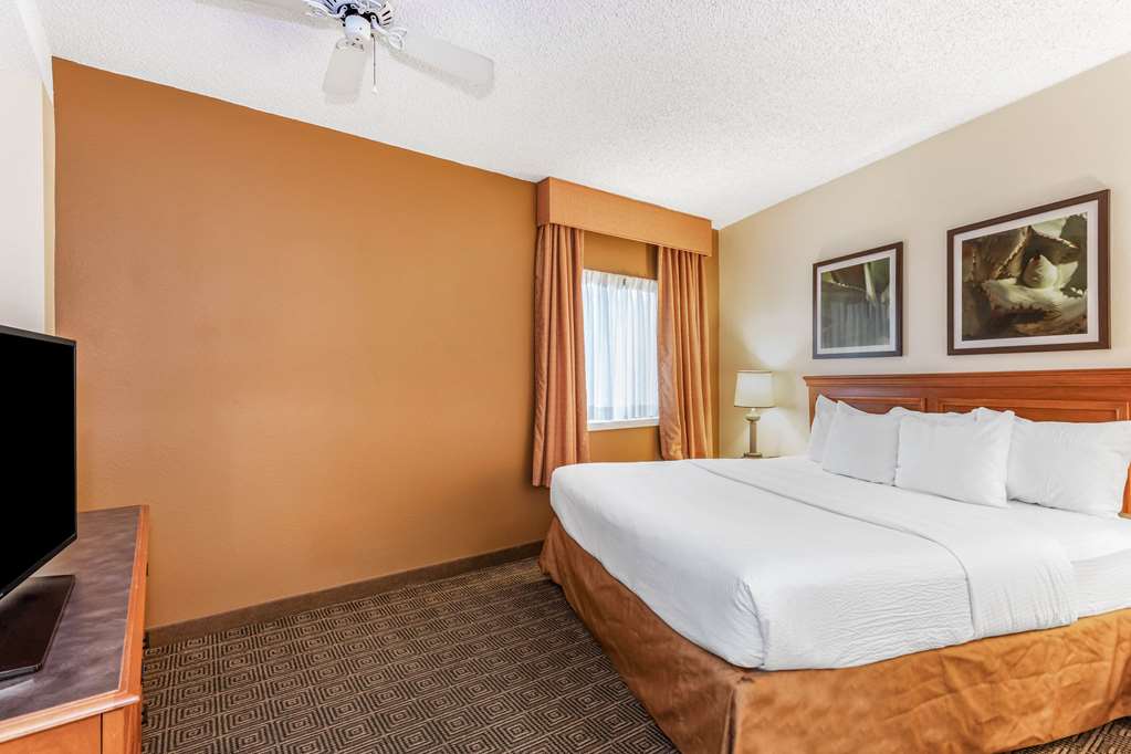 Baymont by Wyndham Orlando South - photo 42