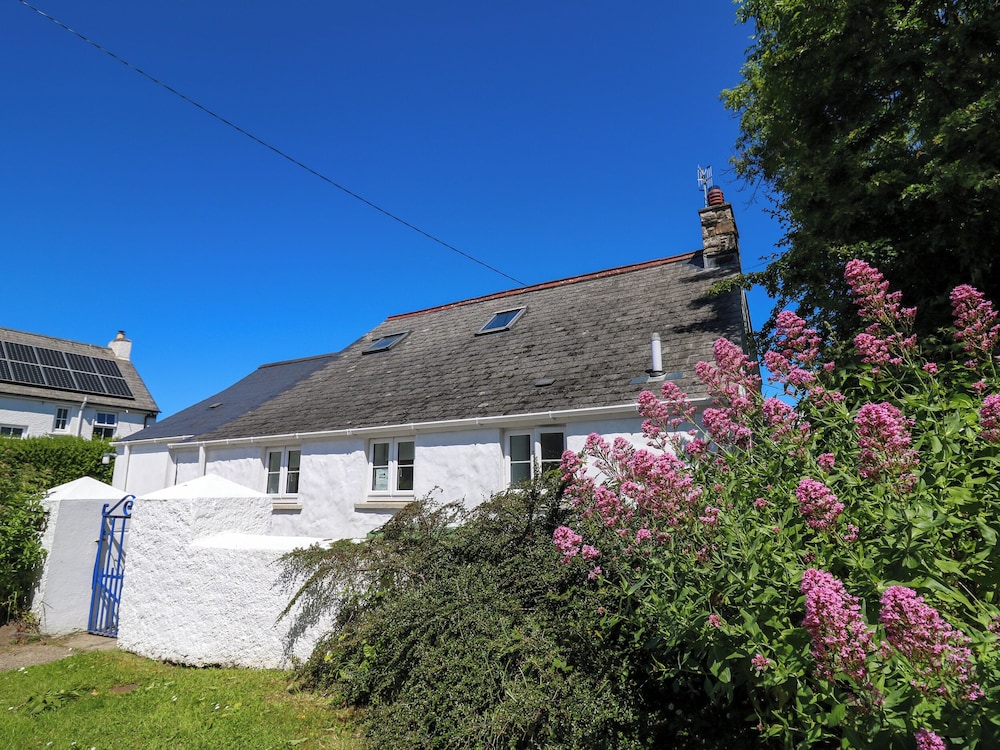 Tegfan in Newport, United Kingdom