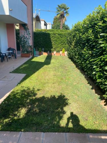 Marinab — Castelfranco Veneto — photo 3
