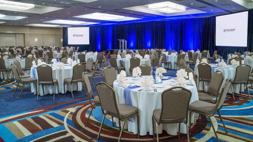 Sheraton North Houston at George Bush Intercontinental - photo 43
