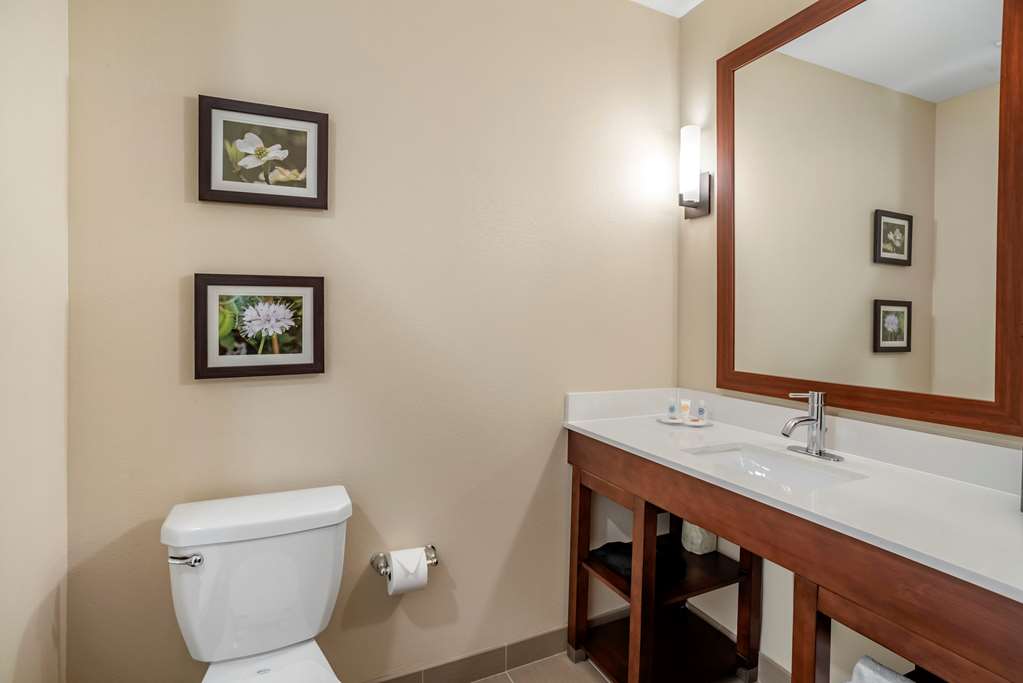 Comfort Inn & Suites Winchester - photo 25
