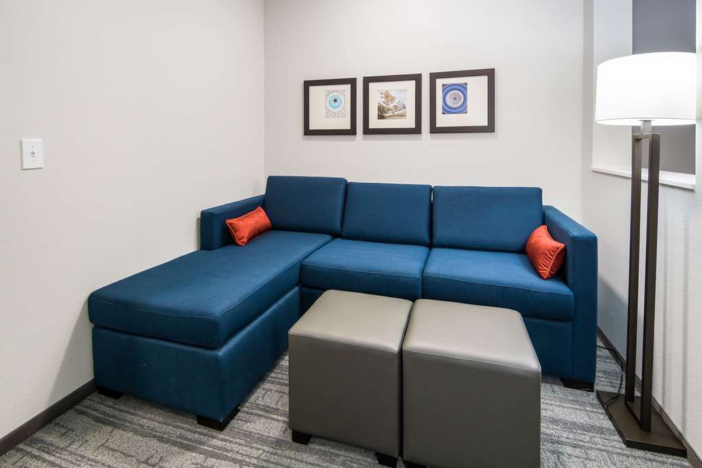 Comfort Suites DeSoto Dallas South - photo 28