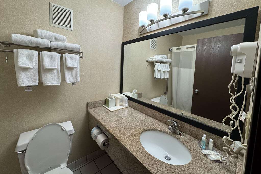 Quality Inn Forsyth Decatur - photo 19