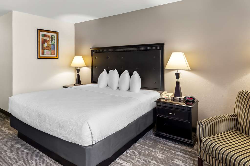 Best Western Saluki Inn - photo 16