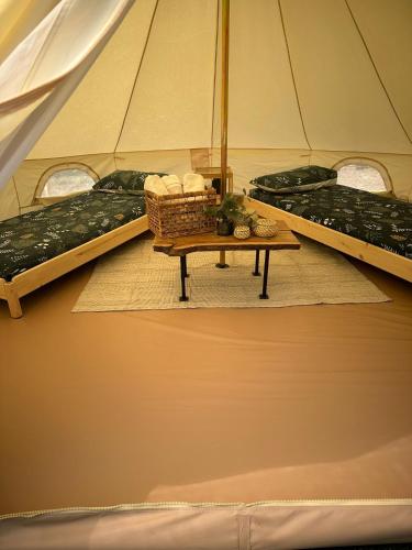 Glamping di Palma pet-friendly hotel Sicignano Degli Alburni