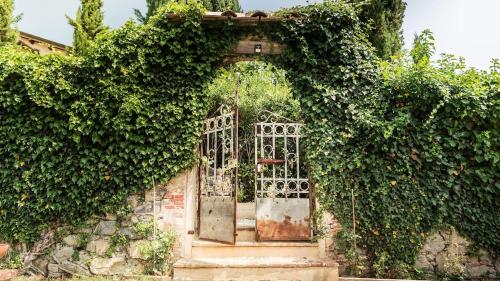 Rustico Dora — Camaiore — photo 3