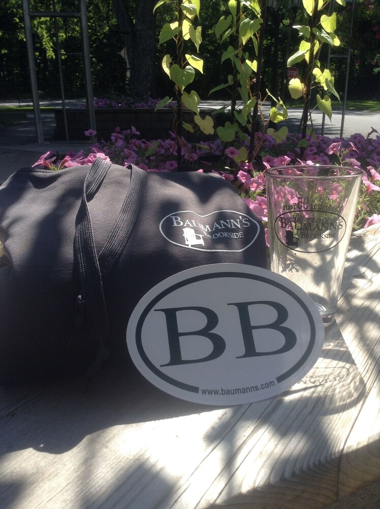 Baumann's Brookside Resort - photo 8