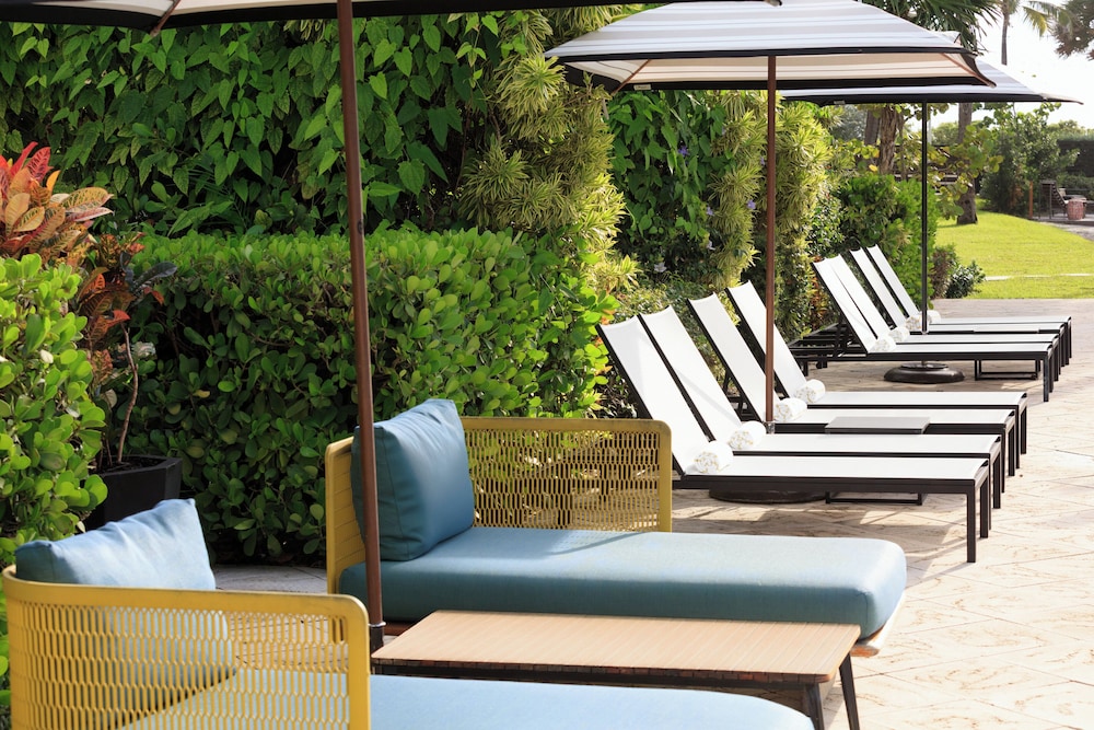 Kimpton Surfcomber Hotel by IHG - photo 35