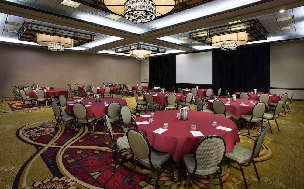 Embassy Suites by Hilton Chicago O'Hare Rosemont - photo 38