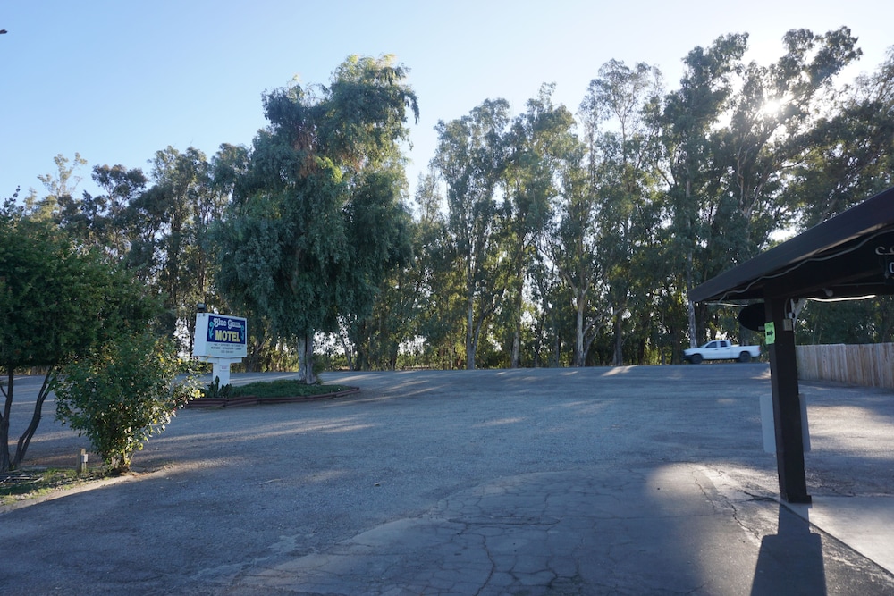 Blue Gum Motel - photo 37
