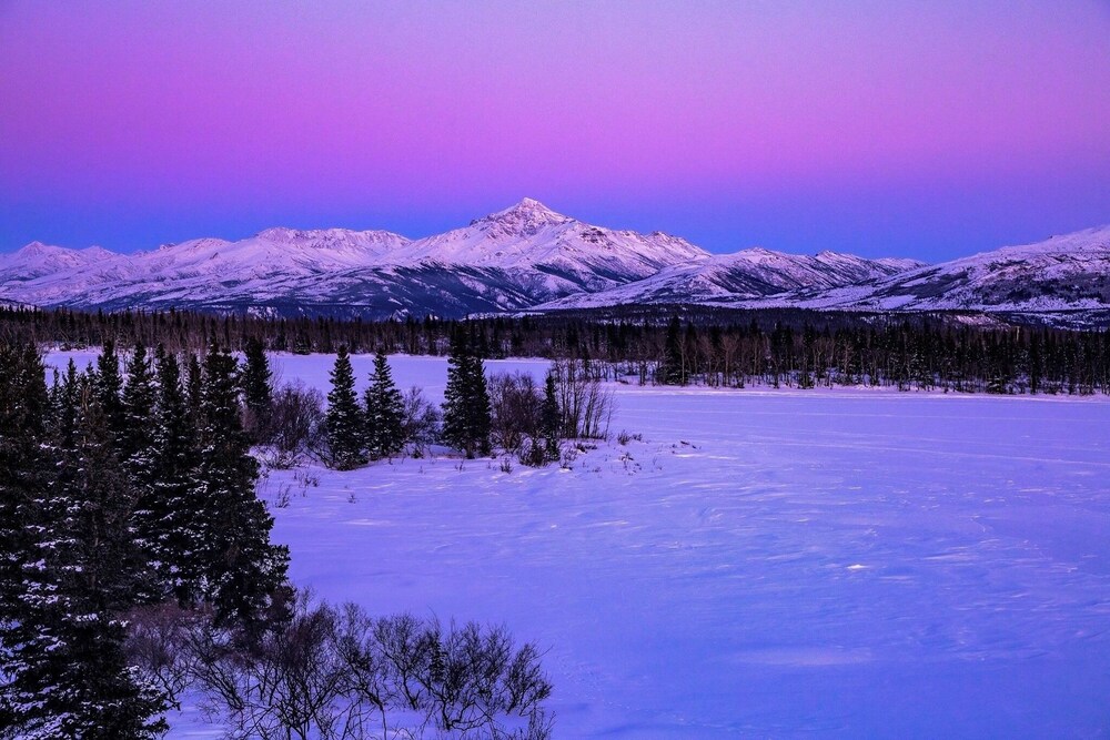 Denali Lakeview Inn - photo 22