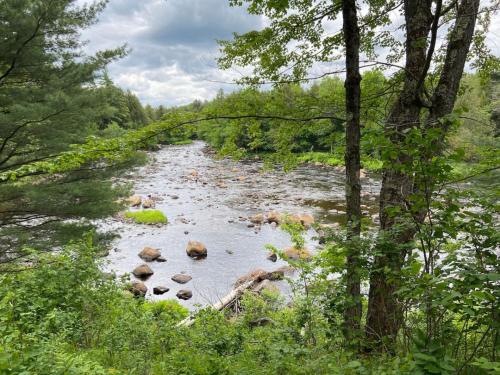 Secluded River Overlook Cabin on 160 acres. — Potsdam — photo 5