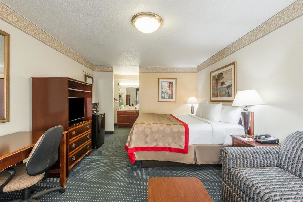 Vivo Living New Braunfels - photo 11