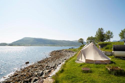 Sandtorgholmen Glamping in Harstad, Norway