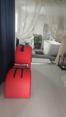 Enjoy in Le Tampon, Réunion