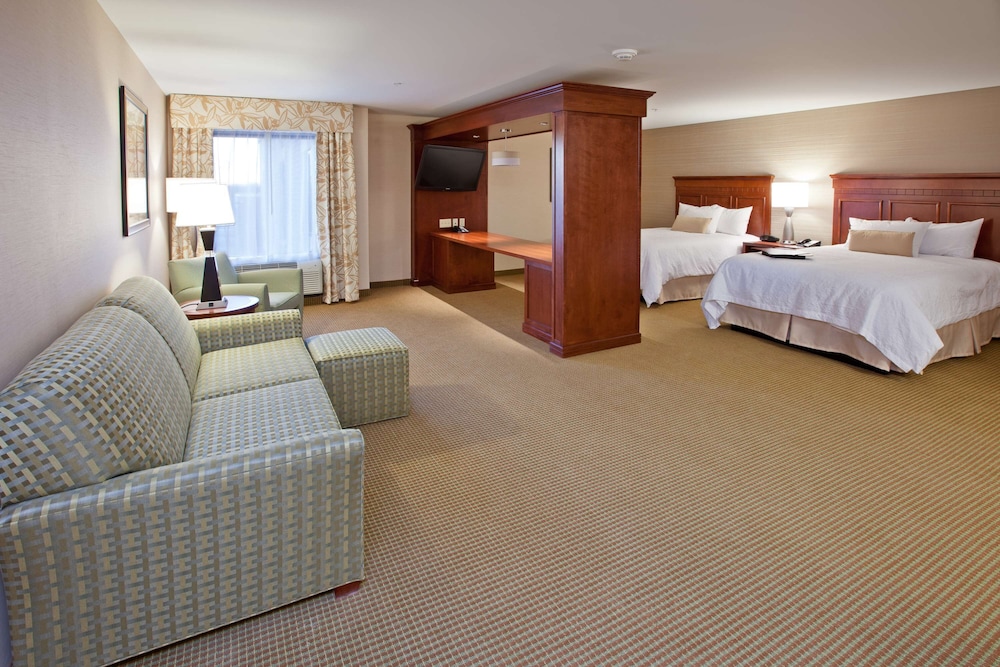 Hampton Inn Detroit Auburn Hills North - photo 10