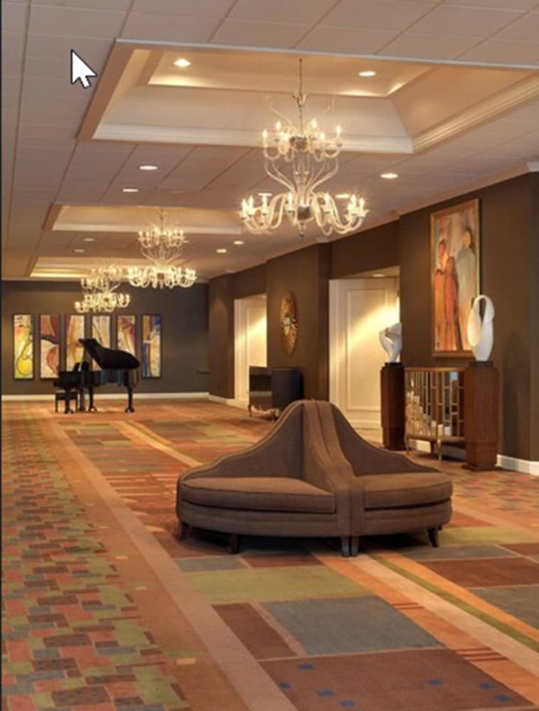 Hilton St. Louis Airport - photo 80