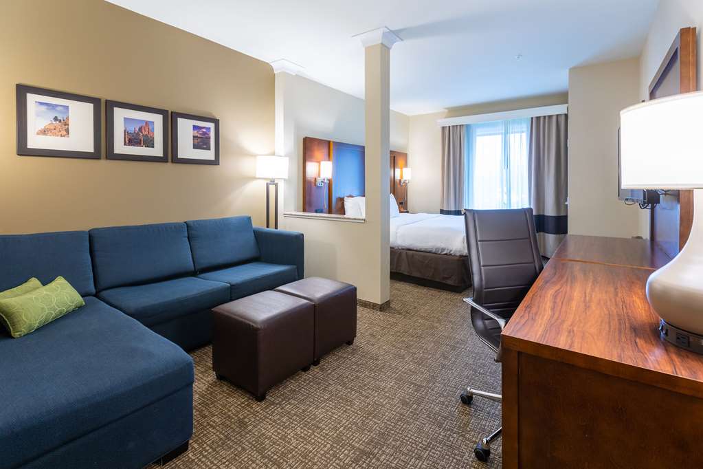 Comfort Suites Denver near Anschutz Medical Campus - photo 15