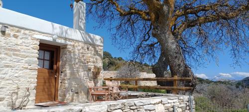 Hatzanario Apeiranthos - last minute hotel in Unknown City