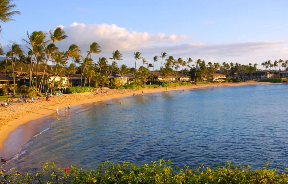 Hale Napili - photo 30
