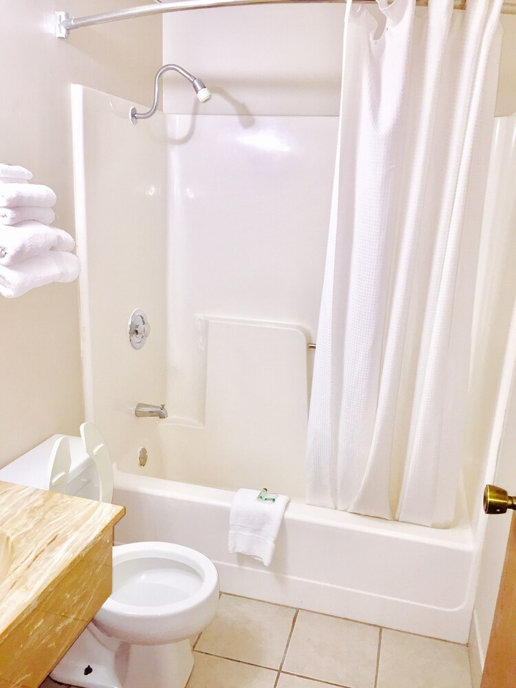 Lyons Inn - photo 12