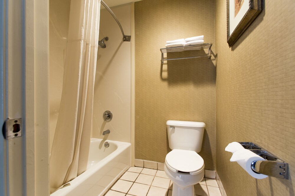 Silver Lake Los Angeles Hotel - photo 34