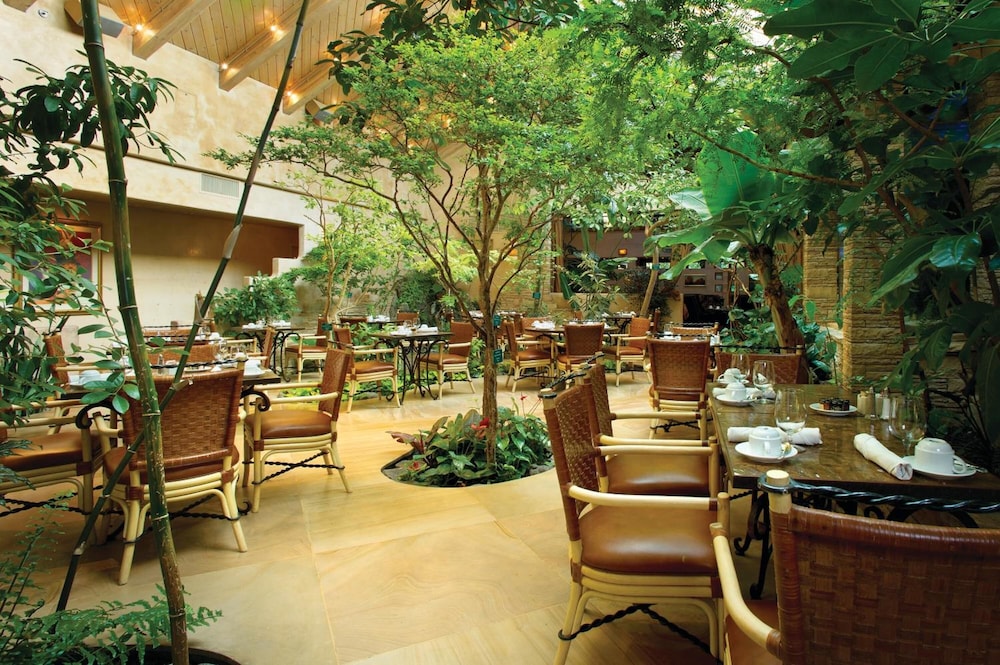 El Monte Sagrado Living Resort & Spa - photo 43