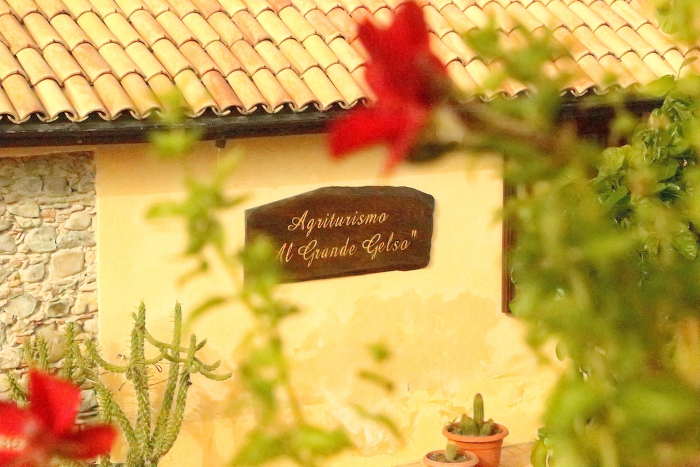 Al Grande Gelso in Cariati, Italy