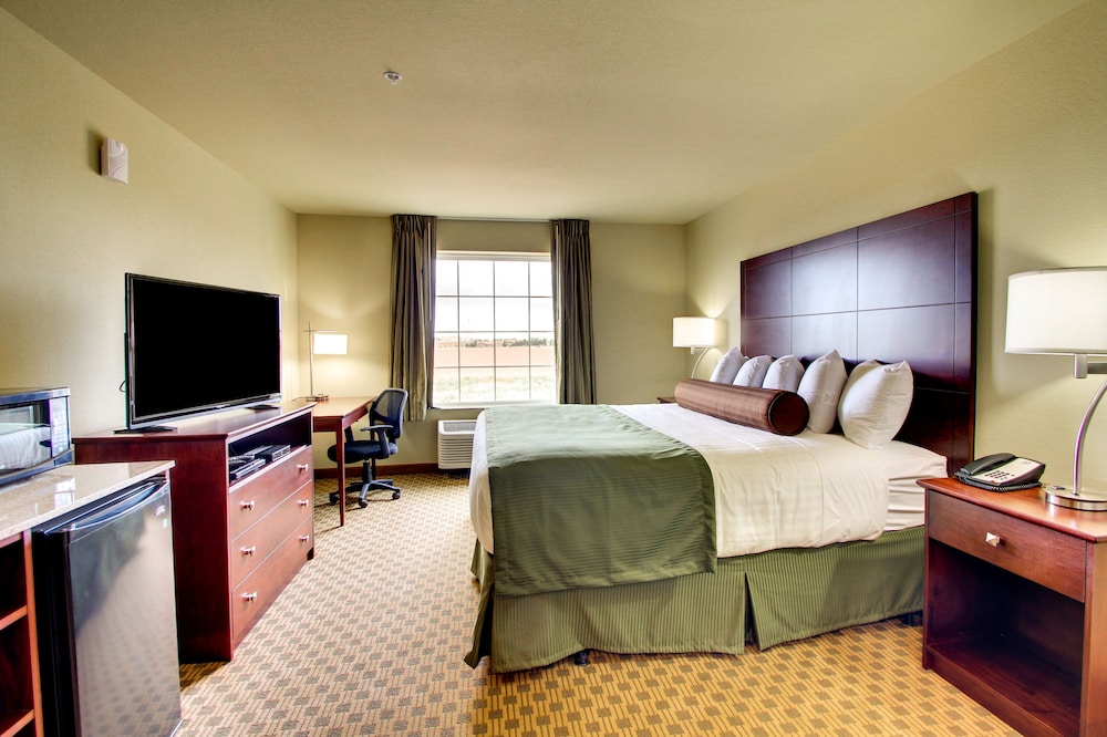 Cobblestone Hotel & Suites Pecos - photo 22