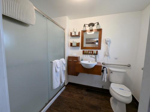 Squaw Valley Motel Room 2 - photo 13