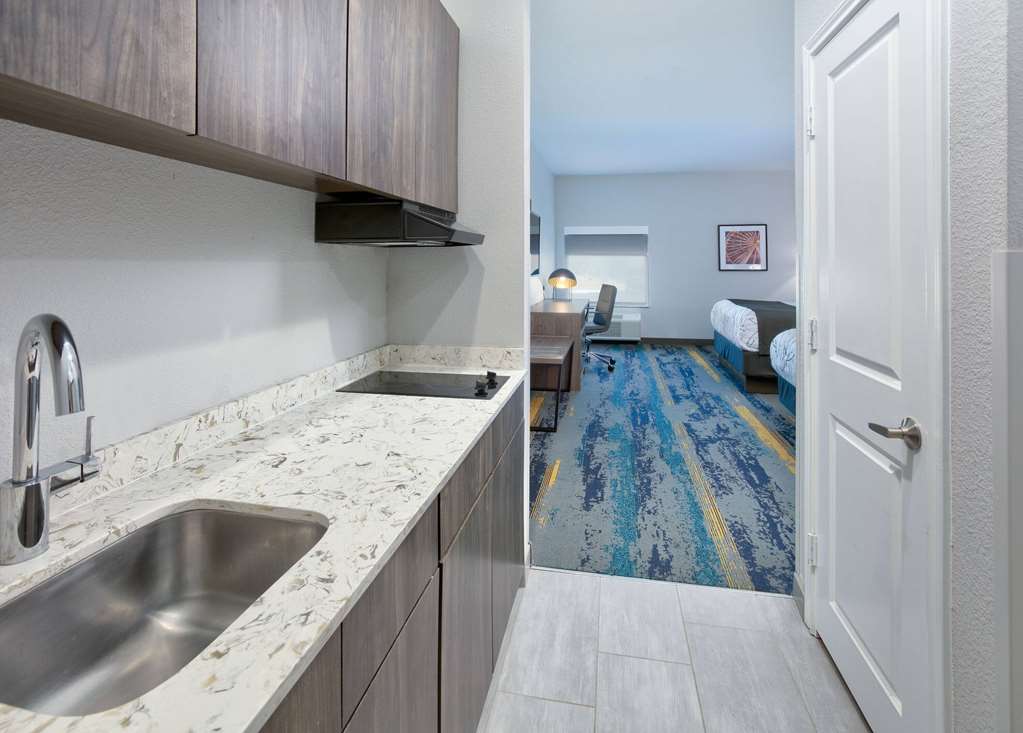 La Quinta Inn & Suites by Wyndham Dallas Fairpark - photo 54