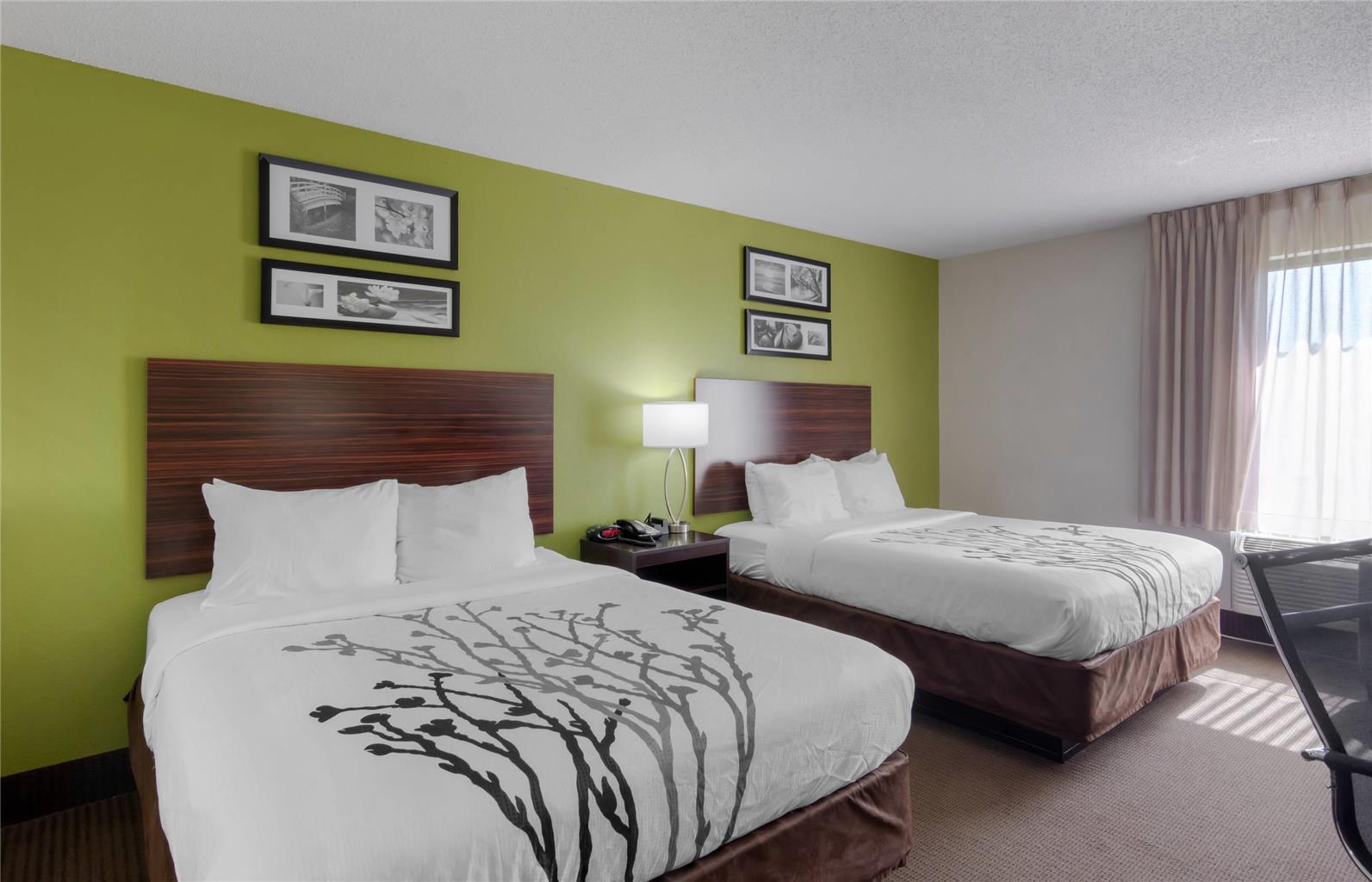 Sleep Inn & Suites Prince George near Fort Lee - photo 13