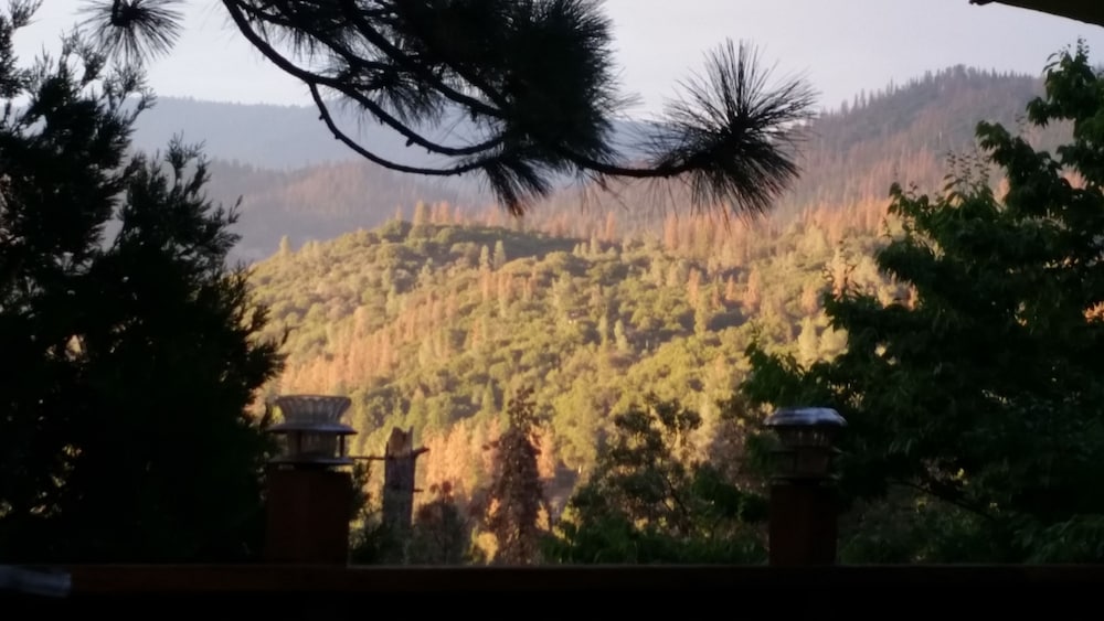 Pine Rose Inn - photo 17