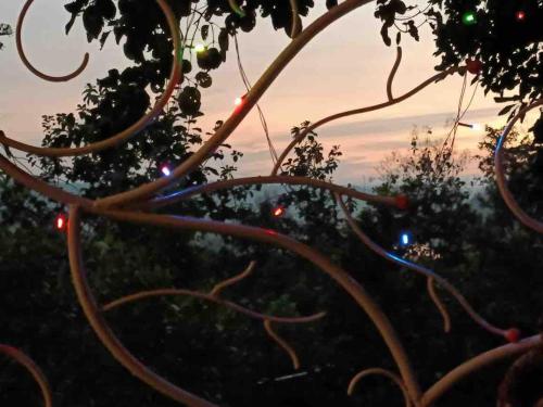 Couple Friendly Abode Jungle Bathtub — Unknown City — photo 3