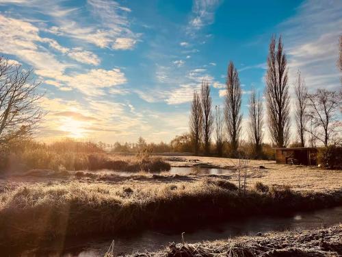 De Twee Zwanen in Unknown City, Netherlands