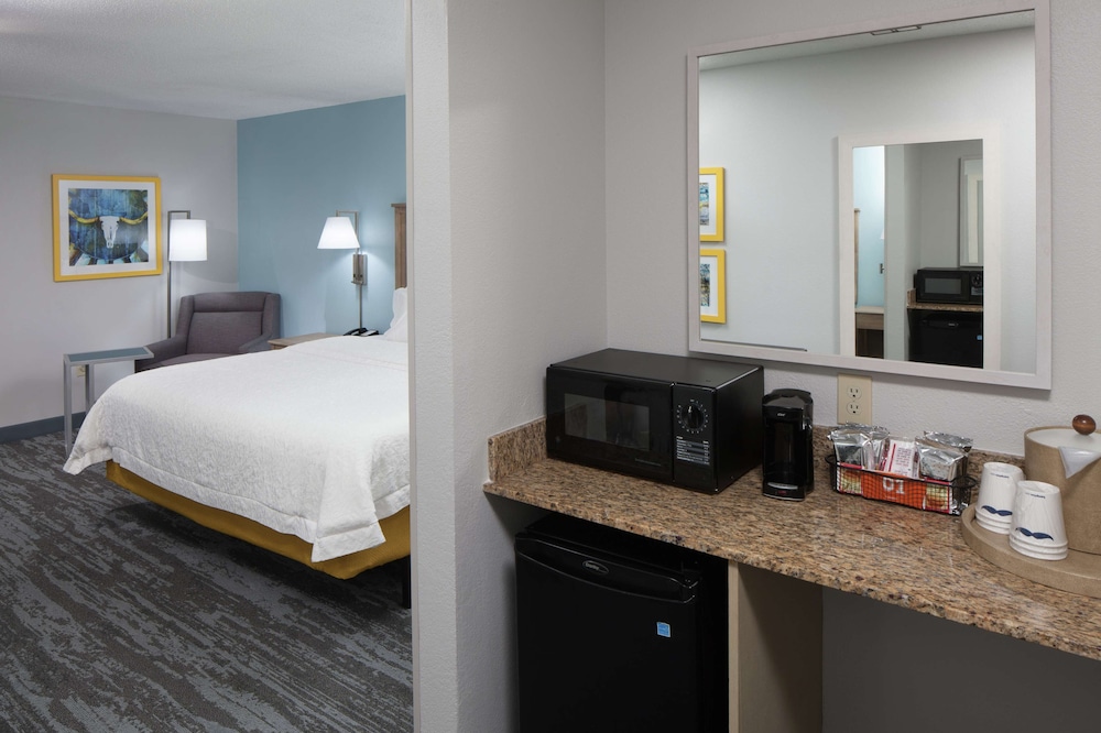 Hampton Inn Austin Round Rock - photo 15