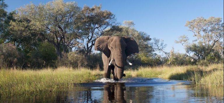 Sanctuary Stanleys Camp — 4-Star Luxury Hotel in Maun, Botswana