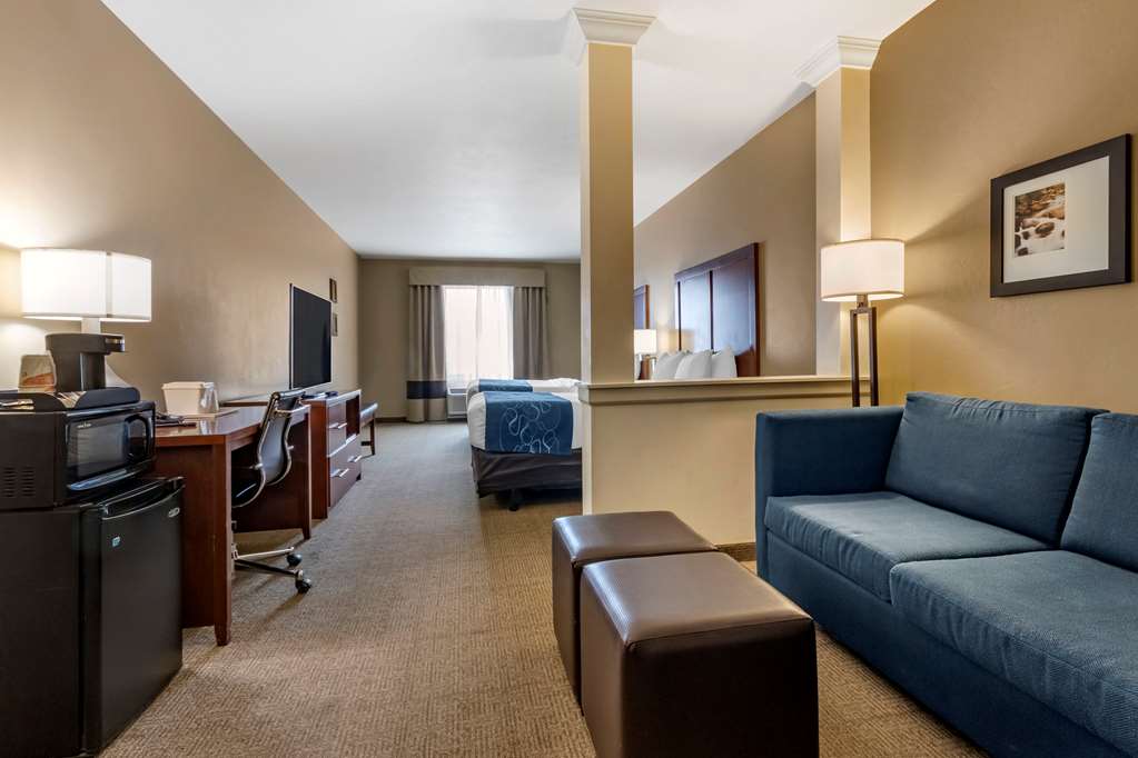 Comfort Suites Airport University - photo 10