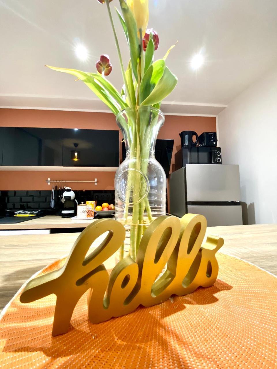 Bella Noche by D&O in Carcassonne, France