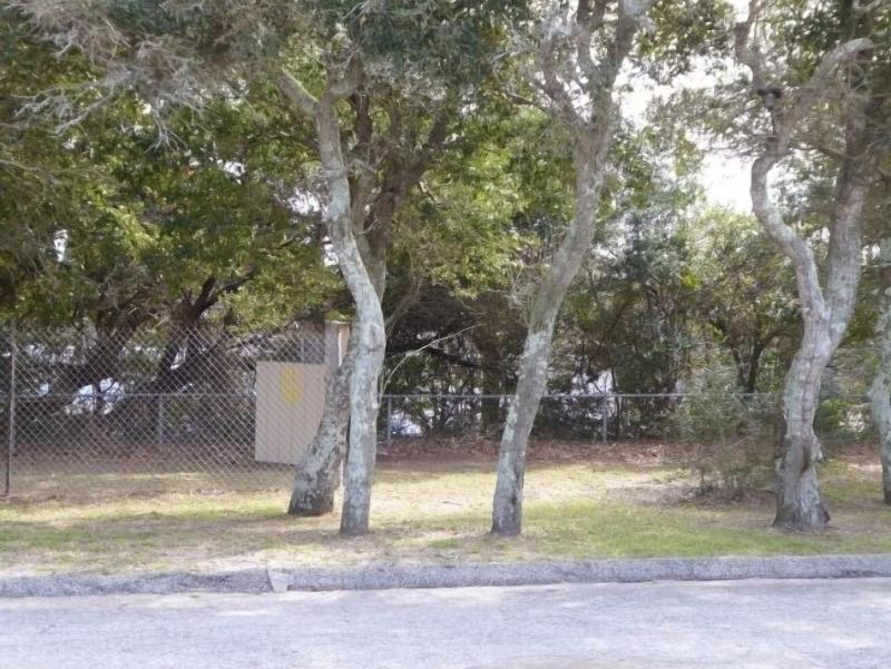 Swell Motel - photo 18
