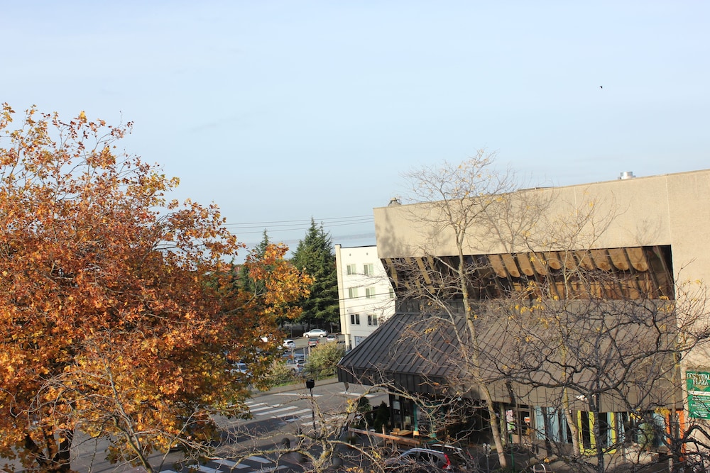 Hotel Leo - photo 51