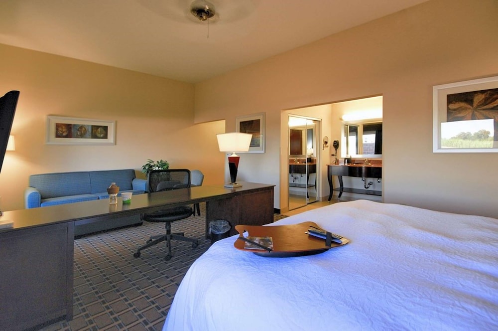 Hampton Inn & Suites New Iberia Avery Island - photo 8