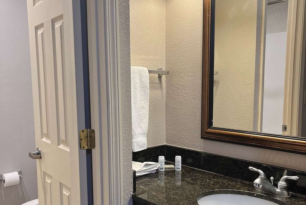 Baymont by Wyndham Indianapolis South - photo 13