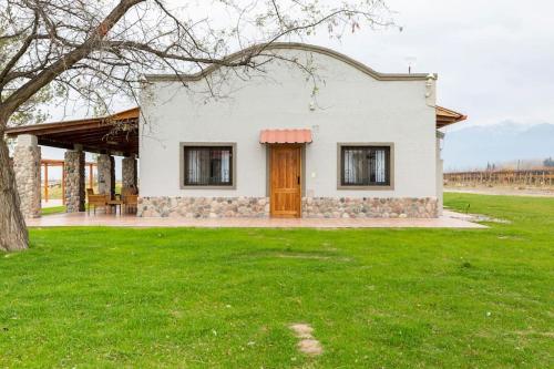 Calivista Vineyard in Tunuyan, Argentina