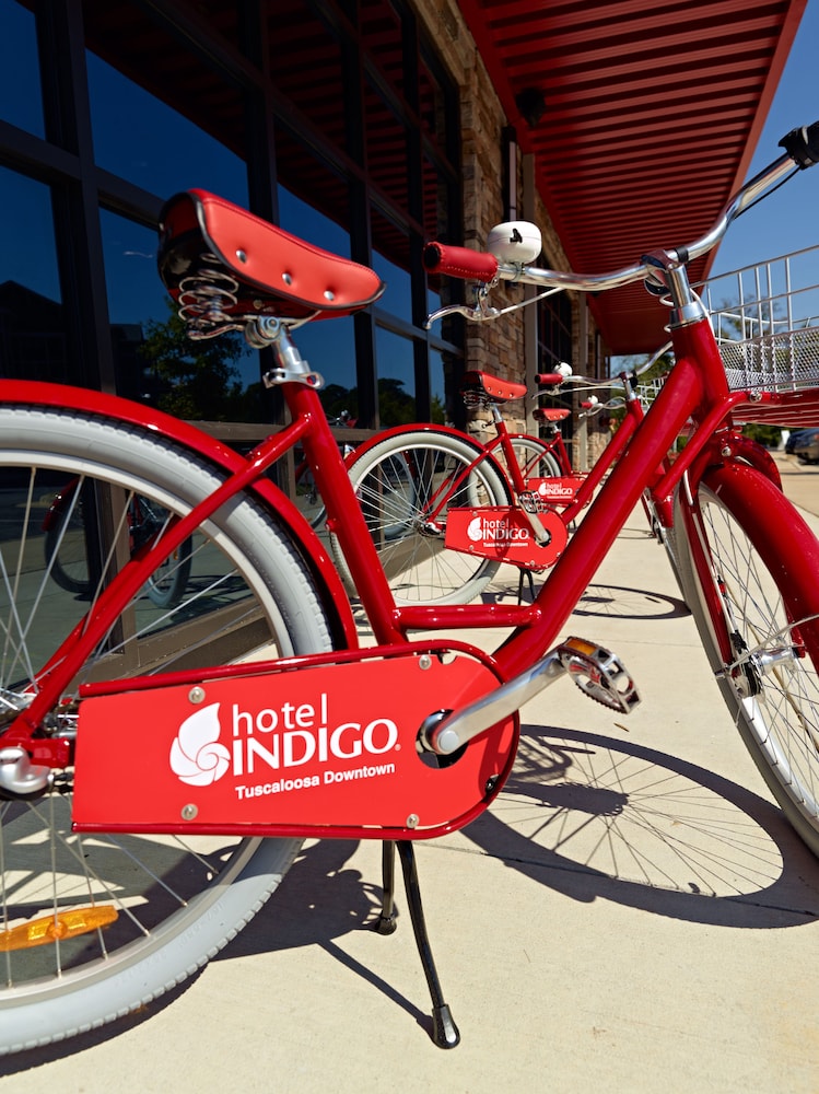Hotel Indigo Tuscaloosa Downtown by IHG - photo 48