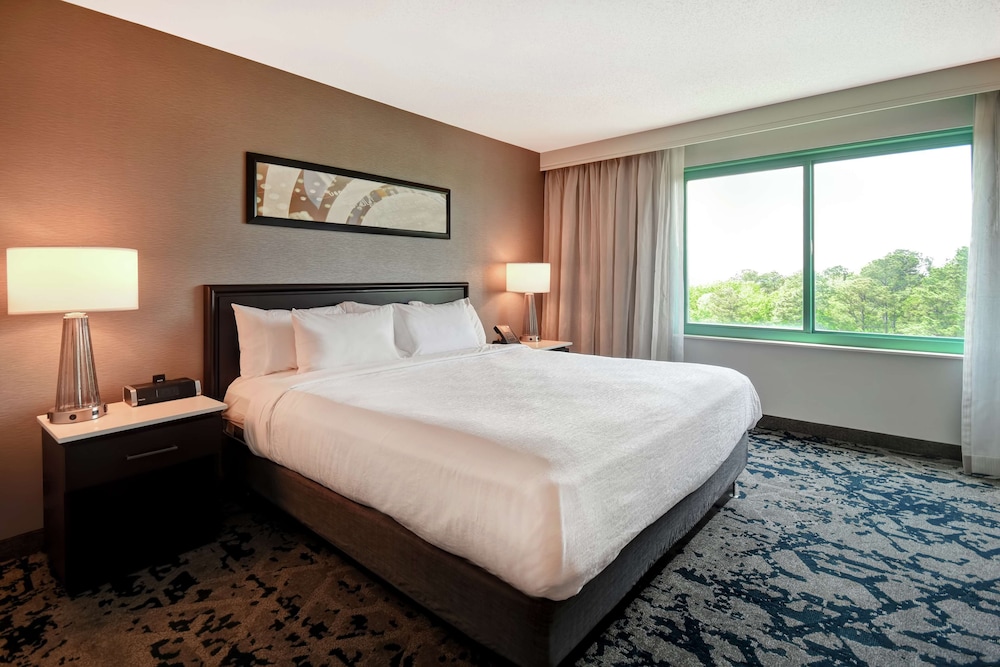 Embassy Suites by Hilton Raleigh Durham Research Triangle - photo 18