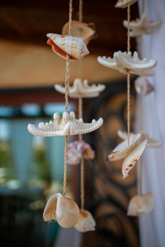 Casa Vacanze Flora — Budoni — photo 4