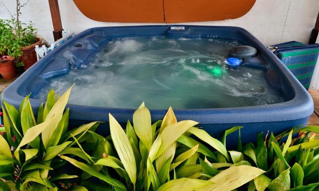 Casaspa7 in Cortes De La Frontera, Spain